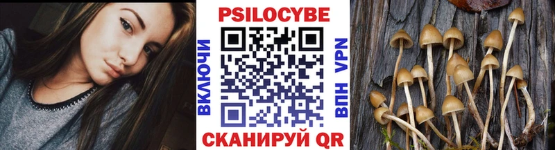 закладка  blacksprut   Галлюциногенные грибы Psilocybe  Куса 